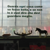 192_bello.jpg
