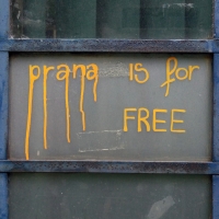 192_prna.jpg