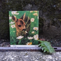 193_193bambi.jpg