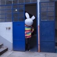 193_zoo-bunny.jpg