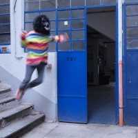193_zoo-monkey.jpg
