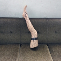 198_gamba.jpg