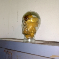 198_head.jpg