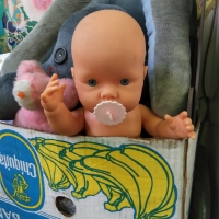 198_humans14.jpg