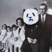 223_panda2.jpg
