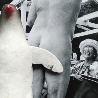 223_pinguinooo.jpg