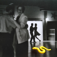 223_snake.jpg